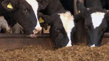 92824606agrotema_31_10_2018