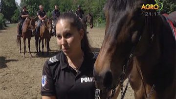 9286699agrotema_7_08