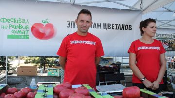93063889rozov_domat