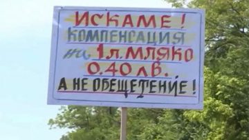 93346510jivotnovudi_veterinari