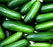 9341029cucumber