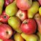 93525436fruit-and-vegetable-market-chefs-guide-to-apples-and-pears-teaser