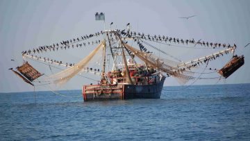 93841806fishboat