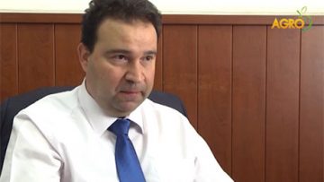 93858399Anton_Velichkov