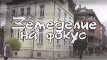 939875892091-678×381