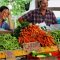 94141859IthacaFarmersMarket