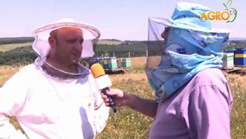 94409141bees2222222
