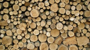 94588644Wood
