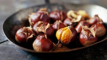 94655024chestnut
