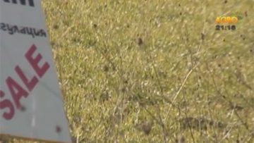 947810336546546464654654