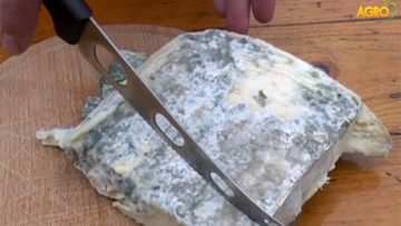 9699736green_cheese