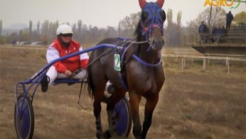 97080782KNBLG_29_10_2018