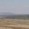 97875391farm