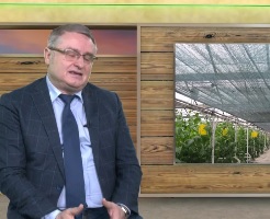 98757333agrotema