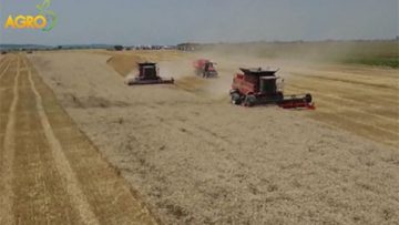 98827164Titan_Bata_Agro