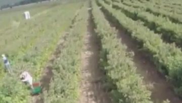 991262310293584_736527283079169_1085961511455309705_o