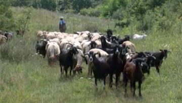 992602274745745745745