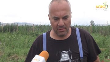 99365999agrotema_08_07