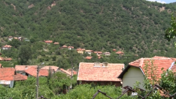 99891143goranovzi