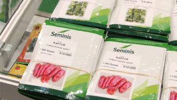 ABS-vegetables_2