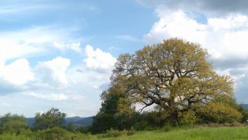 IMG_20180505_164535-1024×577