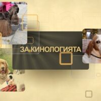 Channel Logo