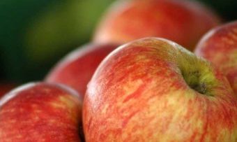 apple