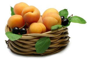 apricots1