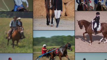 конете на българия – снимка шапка