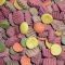 dog-food1