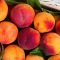 fresh-organic-peaches-in-wooden-crate-viewed-from-royalty-free-image-584718022-1558541036