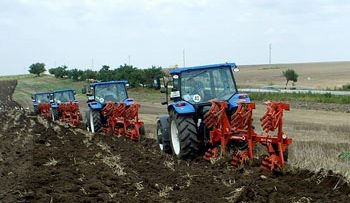 pic_11_350