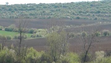 soilag