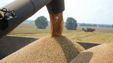 wheat_harvester