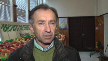 24298297agrotema-obzor-ovoshtarstvo.mp4_snapshot_00.28.117