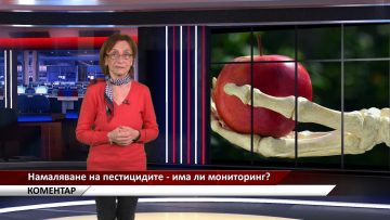 26923322KOMENTAR_30_01_2021_G.mp4_snapshot_00.49.343