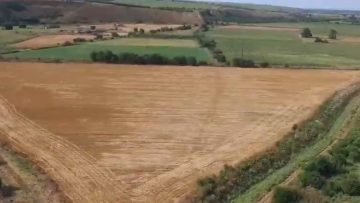 44178891agrotema