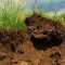 51667759soil