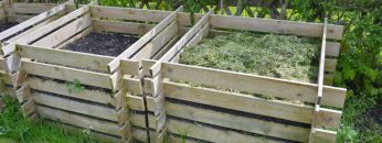 compost in the garden