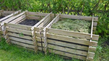 compost in the garden