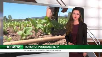 82939551TYUTYUNOPROIZVODITELI.mp4_snapshot_00.07.949