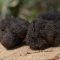 94877563truffles-4150667_960_720
