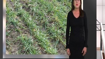 95519054AGROPROGNOZA_______________________22.01.20_M.mpg_snapshot_00.40.193