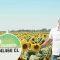 Nuseed:  Линолов слънчоглед