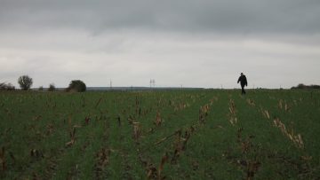 no till пшеница