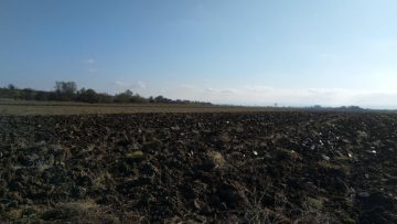 soil