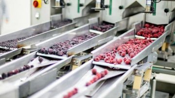 растителни продукти
