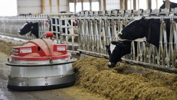 d0ede9-20160325-a-farm-robot-pushes-feed