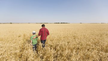 View from behind of father and son walking in wheat
