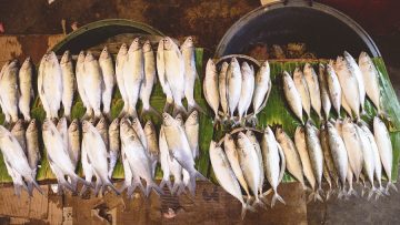 Overhead shot of fishes on top of leaves in the market